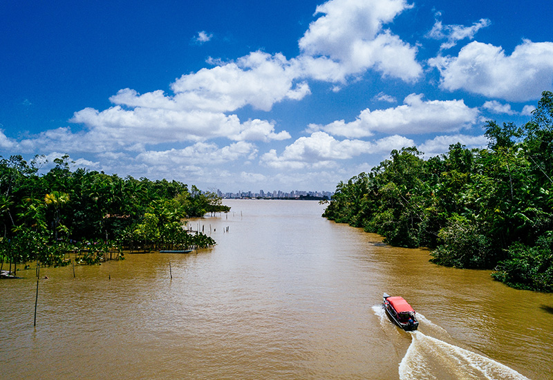 La Amazonía Boliviana: Nuestro Tesoro Verde que Exige Políticas de Estado